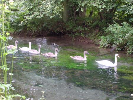 Randonn�e au sentier des trois abbayes