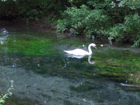 Randonn�e au sentier des trois abbayes