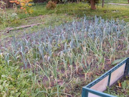 Le samedi 19 octobre 2008