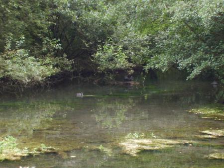 Randonn�e au sentier des trois abbayes