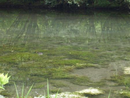 Randonn�e au sentier des trois abbayes