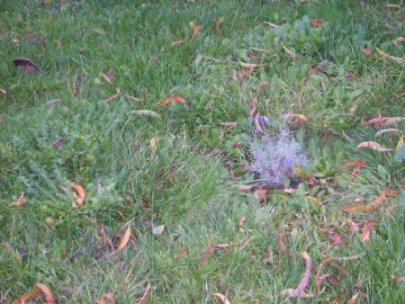 Le samedi 19 octobre 2008