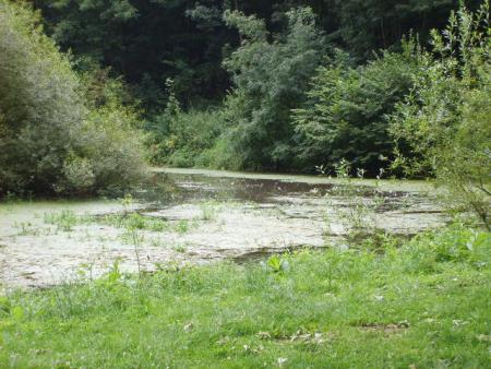 Randonn�e au sentier des trois abbayes