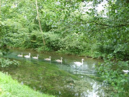 Randonn�e au sentier des trois abbayes