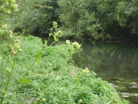 Randonn�e au sentier des trois abbayes
