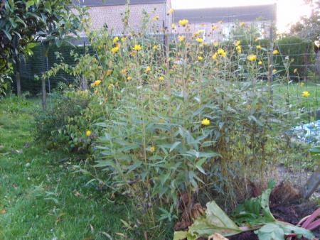 Le samedi 19 octobre 2008